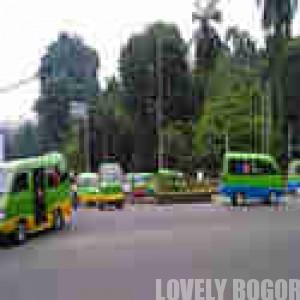 Bogor's angkot (public transportation)