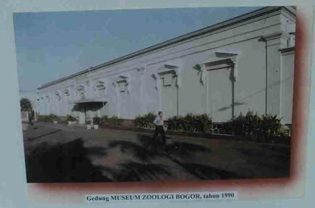 Museum Zoologi Bogor - Foto zaman dahulu 3