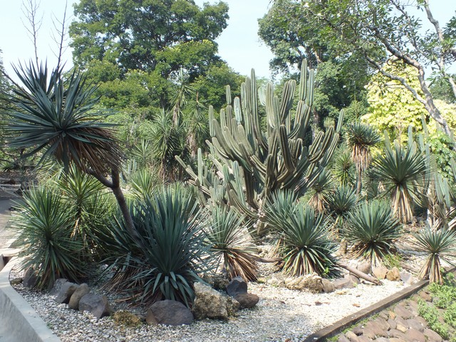 Taman Meksiko