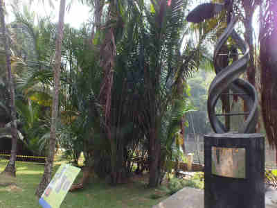 Monumen Kelapa Sawit di Kebun Raya Bogor