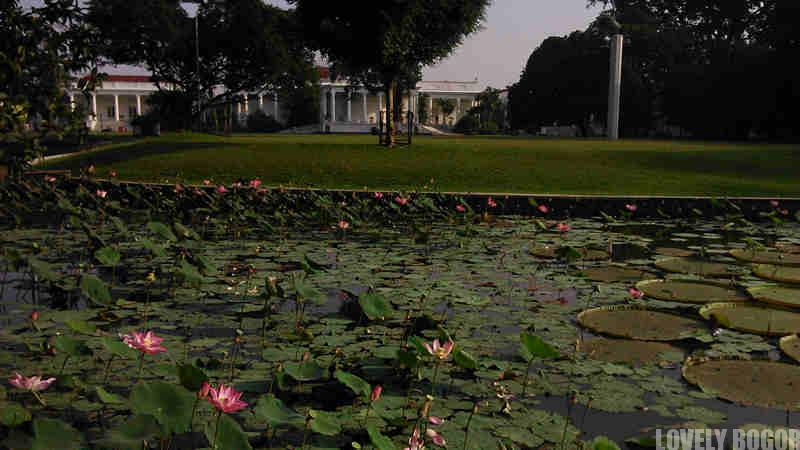 Things To See In Bogor Botanical Gardens