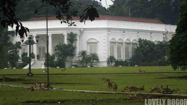 Bogor Palace and The White Spotted Deer