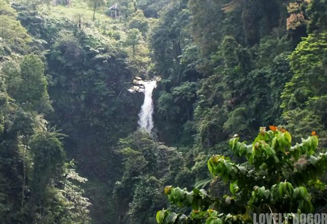 The beautiful Cigamea Waterfall Bogor