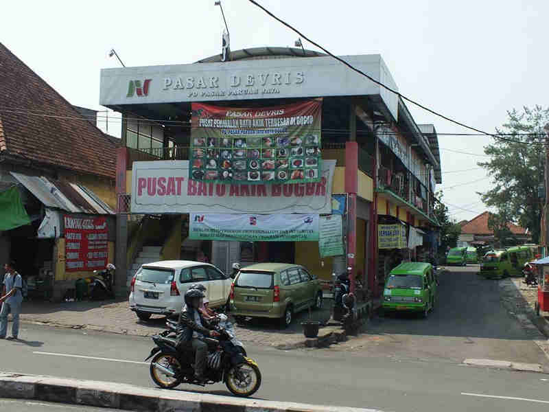 Gemstone Seller in Bogor