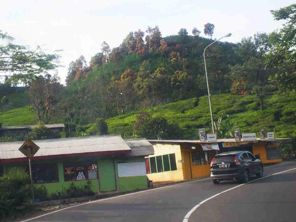 Kawasan Puncak Bogor