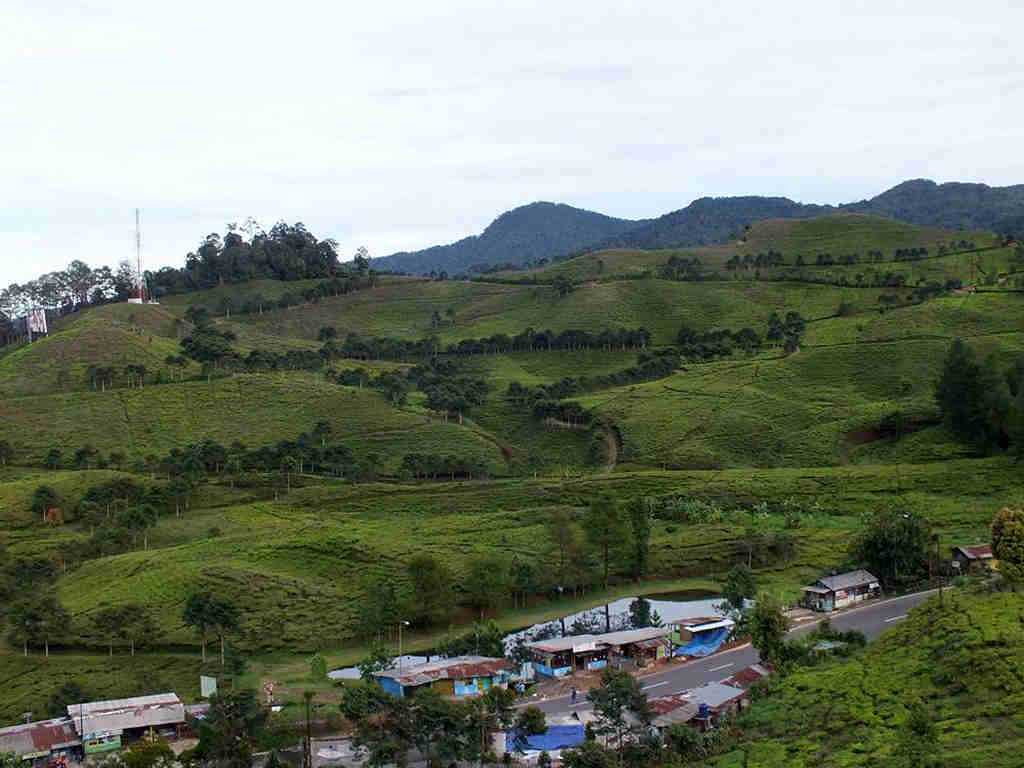 Kawasan Puncak Bogor