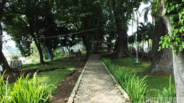 Pohon Raksasa Tua Di Taman Peranginan Bogor