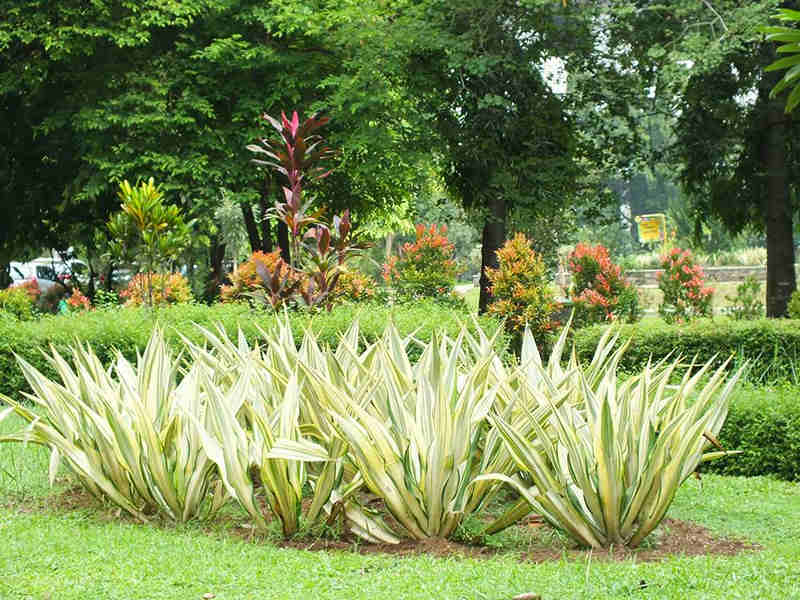 Taman Malabar Bogor