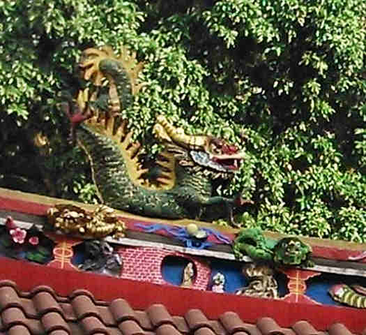 The Dragons in Bogor