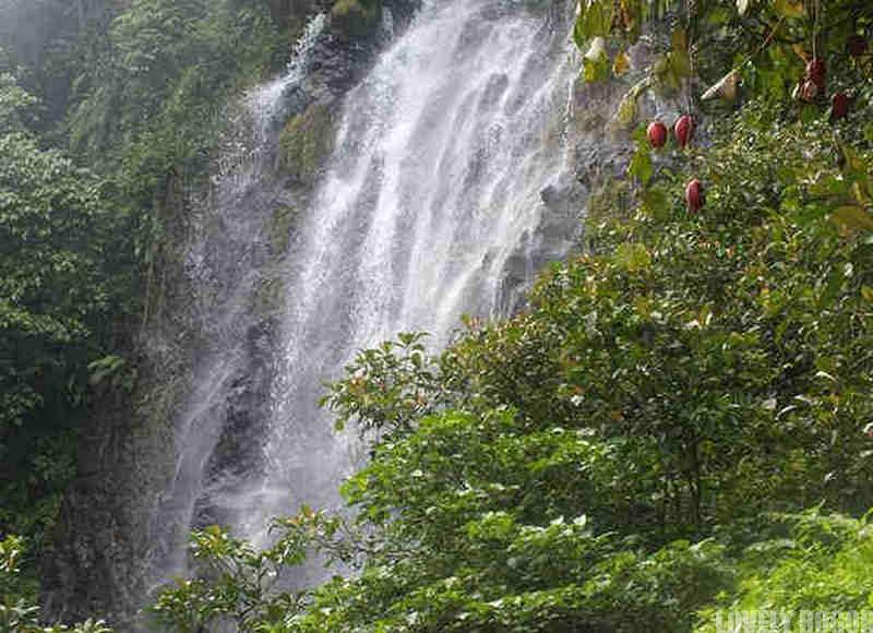 Cigamea Waterfall Bogor