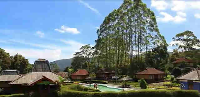 Tempat Wisata Di Bogor Agrowisata Gunung Mas 