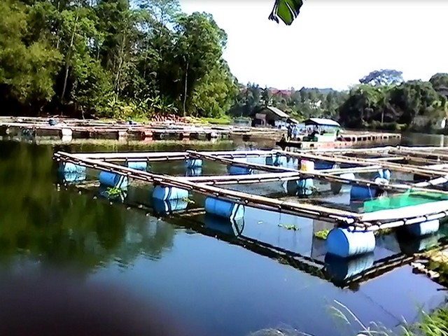 Tempat Wisata di Bogor