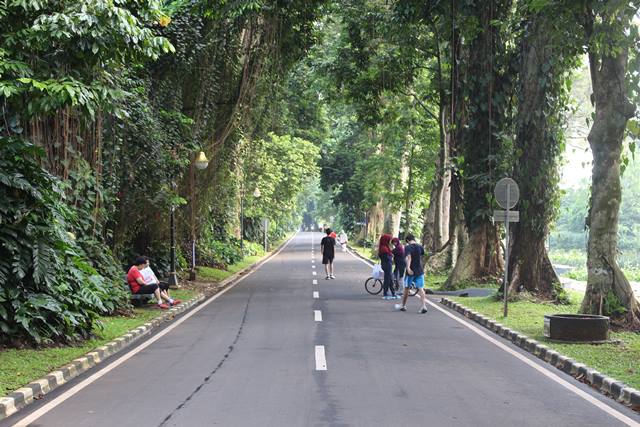 Tempat Lari Pagi dan olahraga Terbaik di Bogor , Kebun Raya 2