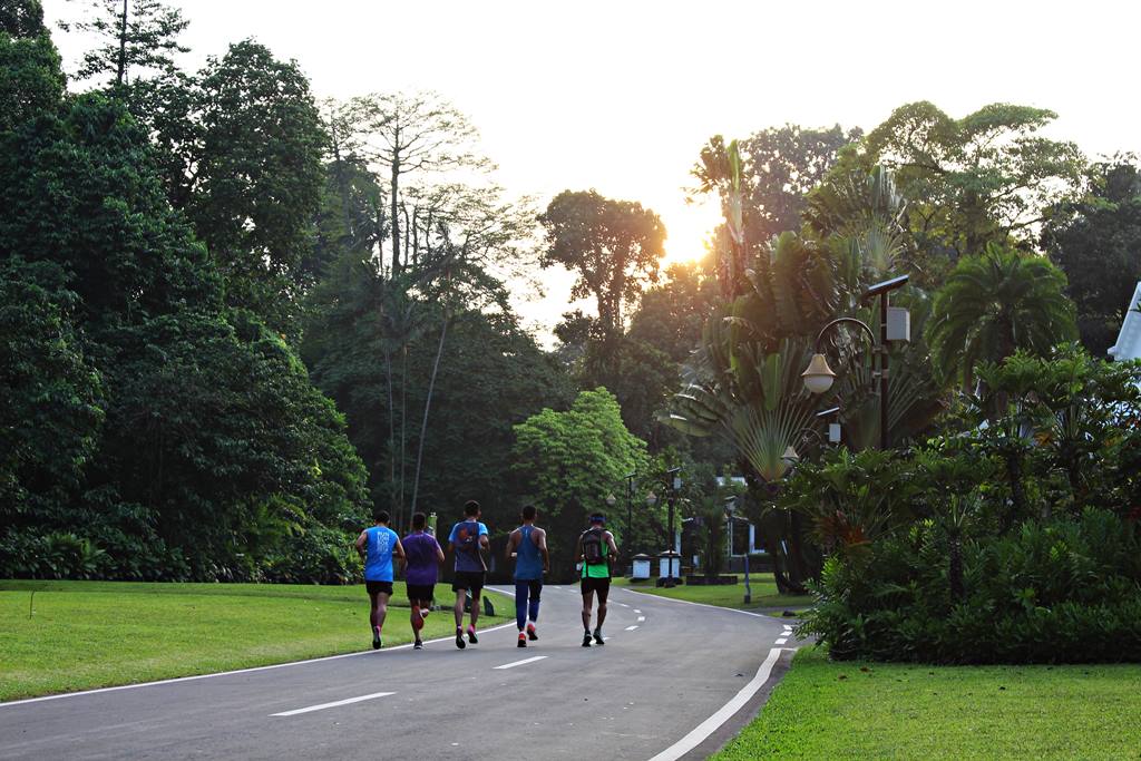 Tempat Lari Pagi dan olahraga Terbaik di Bogor , Kebun 
