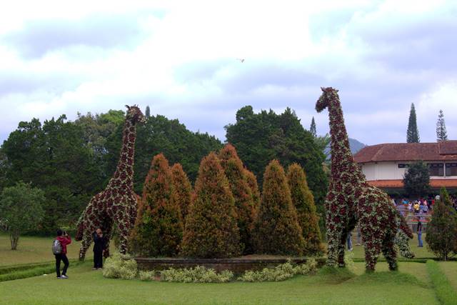 Patung Jerapah di Taman Bunga Nusantara D