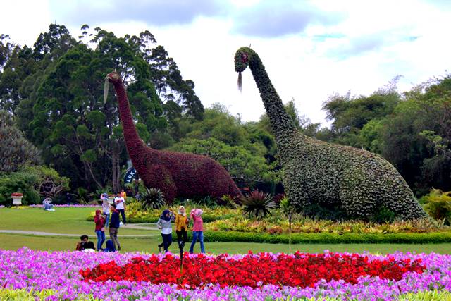 Taman Bunga Nusantara Indahnya Warna Warni Bunga Di Taman Tetangga Lovely Bogor