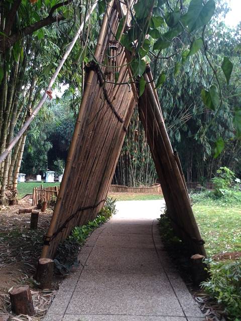 Gerbang Bambu Untuk Koleksi Bambu - Kebun Raya Bogor 2