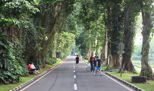 Keuntungan masuk Kebun Raya Bogor lebih awal daripada jam operasional resmi