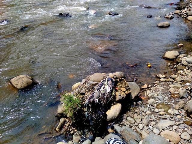 Tumpukan Sampah Di Sungai Ciliwung Ini Hanya Sebagian Kecil Saja B