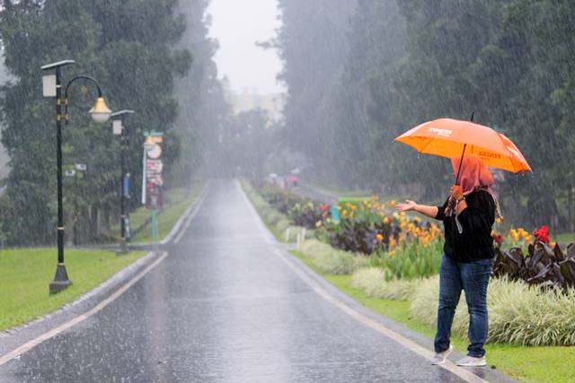 Jalan Astrid Kebun Raya Bogor di Kala Hujan