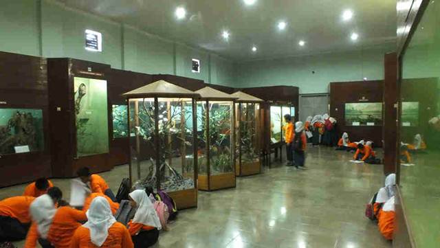 Cara menuju museum zoologi Bogor