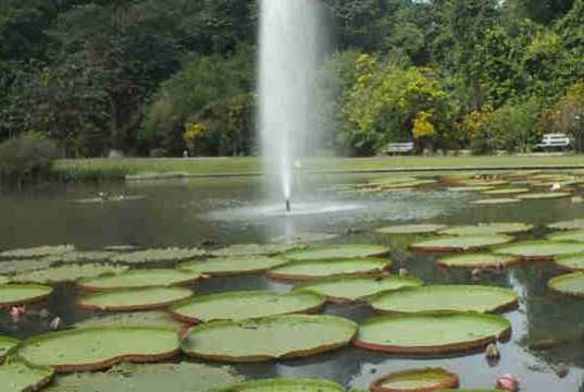 Taman Astrid Kebun Raya Bogor