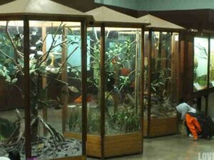 Museum Zoologi Bogor Dalam Foto
