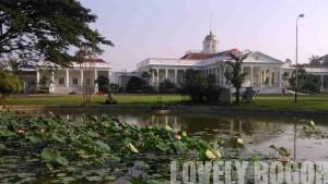 25 Things to see in Bogor Botanical Gardens