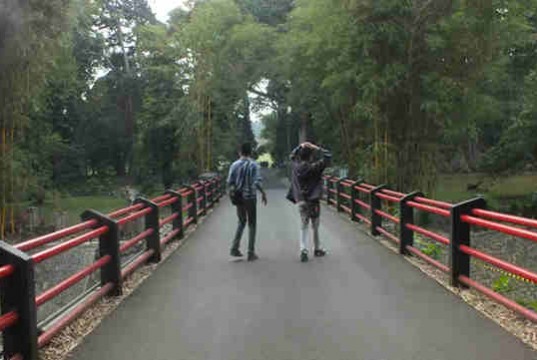 Jembatan Surya Lembayung Kebun Raya Bogor