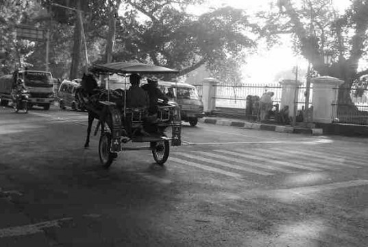 Horse cart (Delman) in Bogor