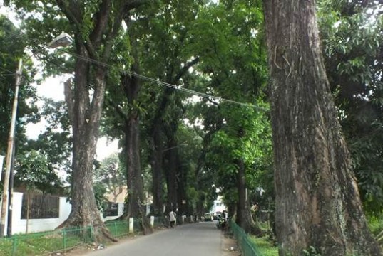 Jalan Rumah Sakit Bogor