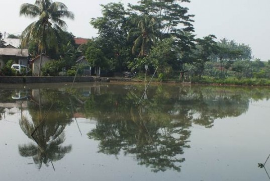 Situ Panjang Bogor