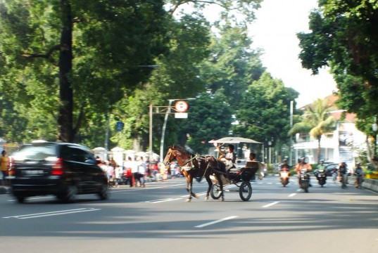 A Horse Cart on street in Bogor