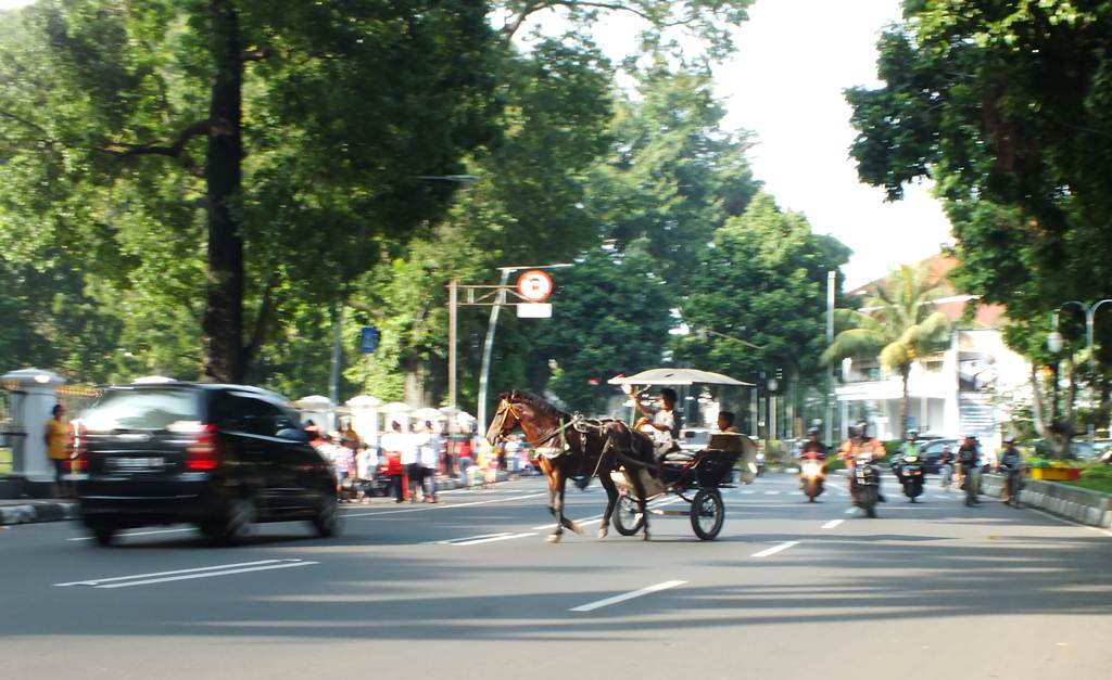 A Horse Cart On Street In Bogor