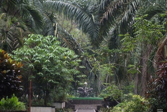 Kebun Wisata Ilmiah Bogor