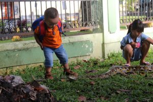 anak kecil bermain dengan ular