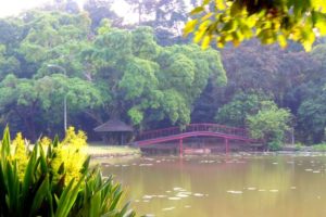 [JANGAN DITIRU!] Cara Pengunjung Tak Bertanggungjawab Menyembunyikan Sampah di Kebun Raya Bogor 2