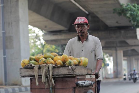 Papaya Seller On The Street
