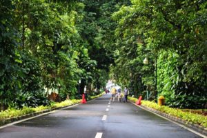 Tips Membawa Kamera DSLR Mirrorless Saat Berkunjung Ke Kebun Raya Bogor