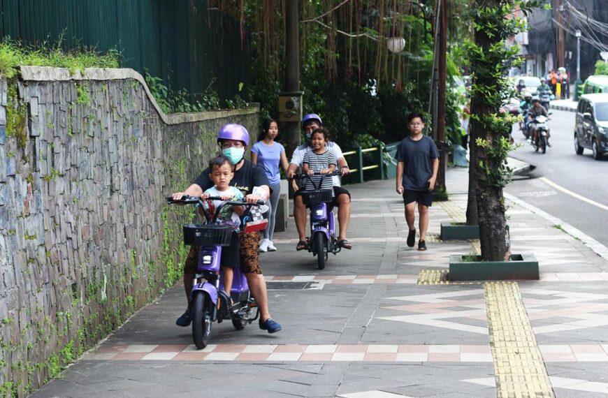Electric Bicycle - E-Bike for Rent in Bogor 2