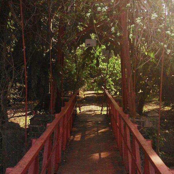 Jembatan Gantung Warna Merah di Kebun Raya Bogor Ada Dua Bukan Satu
