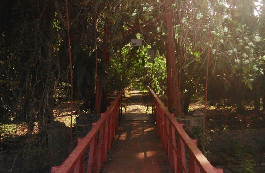 Jembatan Gantung Warna Merah di Kebun Raya Bogor - Jembatan Hulu