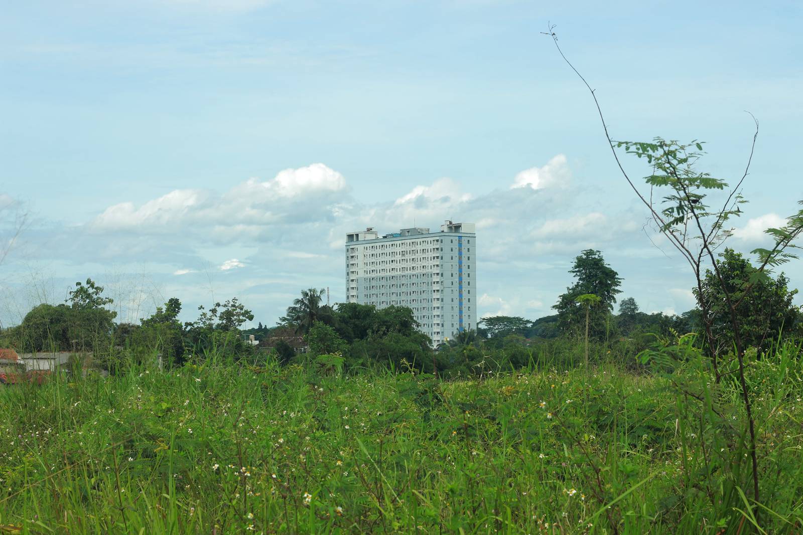 🌧️ Bogor 4.0: Kota Hujan dalam Pusaran Megapolitan Jakarta—Apa Dampaknya bagi Kita?
